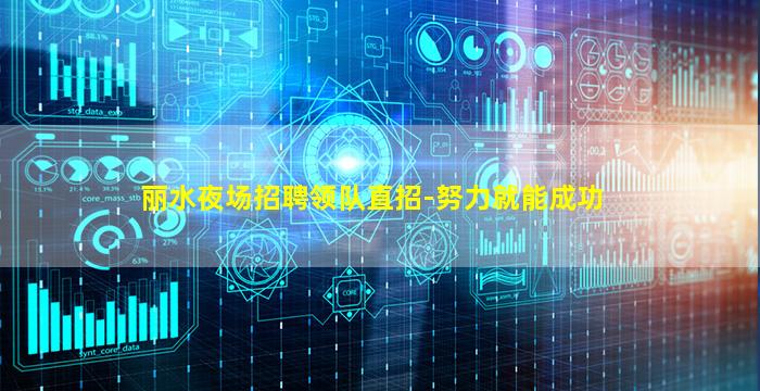 丽水夜场招聘领队直招-努力就能成功